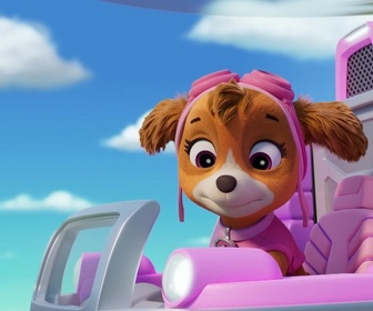 Paw Patrol, la Pat'Patrouille - Le portrait de la Mini Patrouille