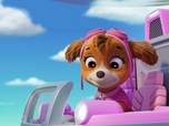 Paw Patrol, la Pat'Patrouille Paw Patrol, la Pat'Patrouille