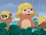 Taki Tanuki Taki Tanuki