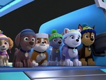 Paw Patrol, la Pat'Patrouille Paw Patrol, la Pat'Patrouille