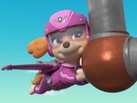 Paw Patrol, la Pat'Patrouille