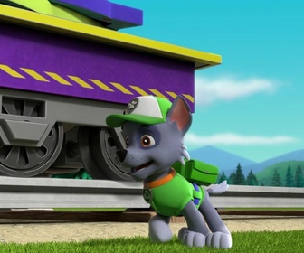 Paw Patrol, la Pat'Patrouille - S08 E09 - La fête foraine