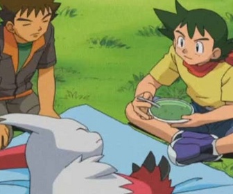 Pokémon - La tactique zigzag