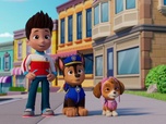 Paw Patrol, la Pat'Patrouille Paw Patrol, la Pat'Patrouille