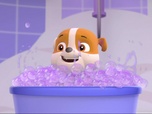 Paw Patrol, la Pat'Patrouille