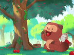 Taki Tanuki