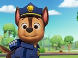 Paw Patrol, la Pat'Patrouille