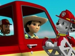 Paw Patrol, la Pat'Patrouille