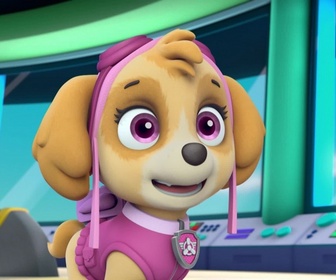 Paw Patrol, la Pat'Patrouille - Le Ruben-O-Saurus