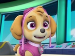 Paw Patrol, la Pat'Patrouille Paw Patrol, la Pat'Patrouille