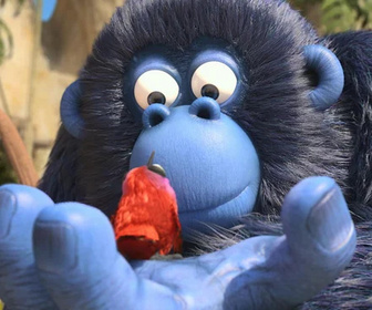 Les as de la jungle à la rescousse - 08/03/2026