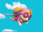 Paw Patrol, la Pat'Patrouille