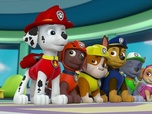 Paw Patrol, la Pat'Patrouille Paw Patrol, la Pat'Patrouille