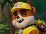 Paw Patrol, la Pat'Patrouille Paw Patrol, la Pat'Patrouille