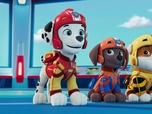 Paw Patrol, la Pat'Patrouille