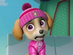 Paw Patrol, la Pat'Patrouille