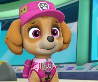 Paw Patrol, la Pat'Patrouille - Sauvetage extrême : le monstre des marais