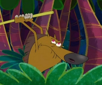 Zig et Sharko - À toutes jambes