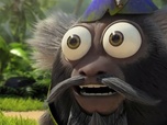 Les as de la jungle à la rescousse