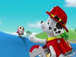 Paw Patrol, la Pat'Patrouille