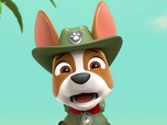 Paw Patrol, la Pat'Patrouille