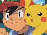 Pokémon Pokémon