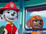 Paw Patrol, la Pat'Patrouille Paw Patrol, la Pat'Patrouille