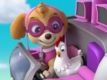 Paw Patrol, la Pat'Patrouille
