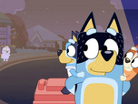 Bluey Bluey