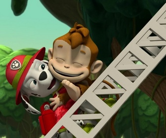 Paw Patrol, la Pat'Patrouille - A la rescousse des trois singes