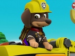 Paw Patrol, la Pat'Patrouille