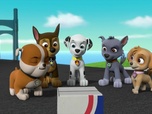 Paw Patrol, la Pat'Patrouille Paw Patrol, la Pat'Patrouille