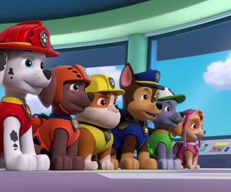 Paw Patrol, la Pat'Patrouille - Digi et Tal, les robots assistants