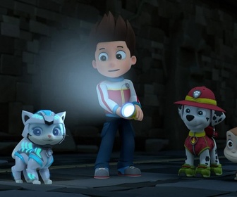 Paw Patrol, la Pat'Patrouille - Super Chats : le rugissement du chat