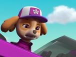 Paw Patrol, la Pat'Patrouille