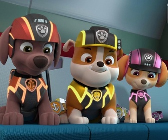 Paw Patrol, la Pat'Patrouille - Le portrait de la princesse