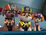 Paw Patrol, la Pat'Patrouille