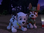 Paw Patrol, la Pat'Patrouille