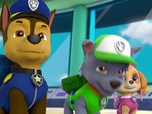Paw Patrol, la Pat'Patrouille Paw Patrol, la Pat'Patrouille