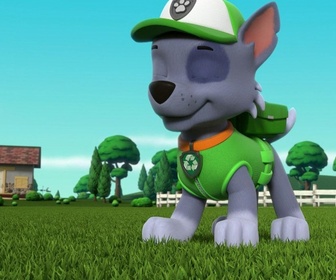 Paw Patrol, la Pat'Patrouille - La ferme en folie