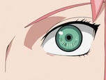 Naruto Shippuden Naruto Shippuden