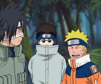 Naruto Shippuden - S8 E6 - Le monde des animaux