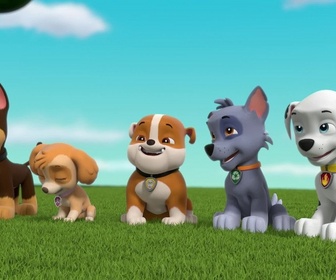 Paw Patrol, la Pat'Patrouille - Galinetta pilote un avion