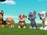 Paw Patrol, la Pat'Patrouille Paw Patrol, la Pat'Patrouille