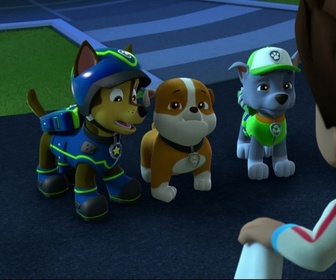 Paw Patrol, la Pat'Patrouille - Le fantôme