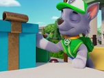 Paw Patrol, la Pat'Patrouille