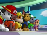 Paw Patrol, la Pat'Patrouille Paw Patrol, la Pat'Patrouille