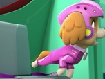 Paw Patrol, la Pat'Patrouille
