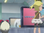 Pokémon Pokémon