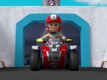 Paw Patrol, la Pat'Patrouille